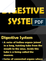 Digestive System