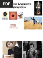 Bioenergetics and Oxidative Phosphorylation 