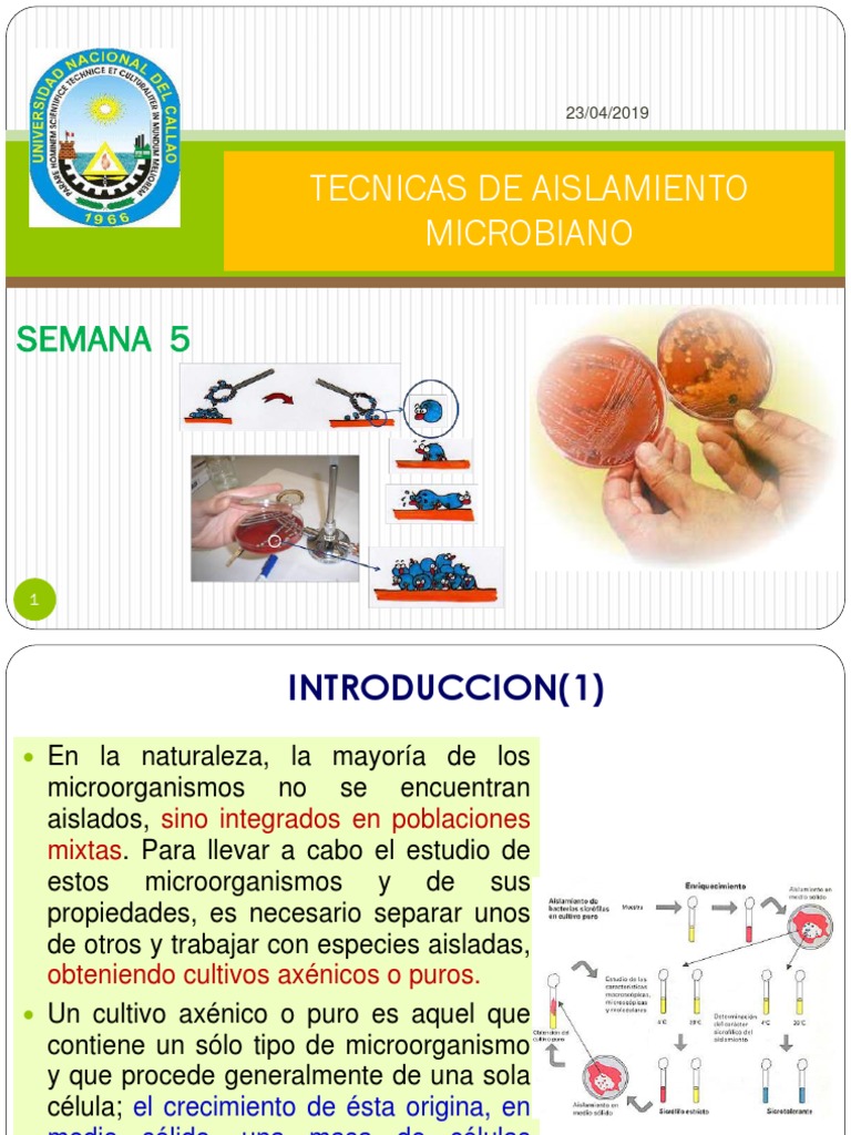 05Tecnicas de Aislamiento Microbiano Microbiología