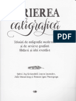 Scrierea Caligrafica. Tehnici de Caligrafie Moderna PDF