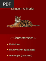 Animalia