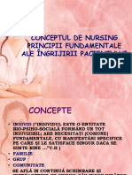 Conceptul de Nursing