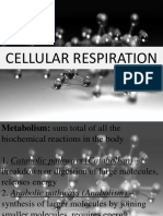 Cellular_Respiration.pptx