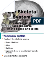 Skeletal System