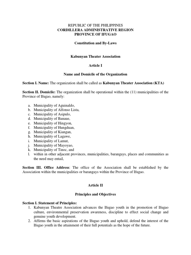 Constitution and by Laws SAMPLE PDF Chairman Board Of Directors