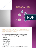 Adaptasi Jejas dan Kematian Sel.pptx