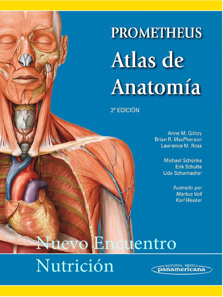 Featured image of post Atlas De Anatomia Humana Netter 6 Edicion Pdf Para Descargar