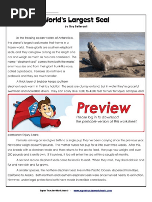 English Story | PDF | Pinniped | Marine Mammals