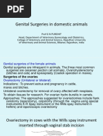 Buhner Suture Technique for Bovine Vulva | PDF | Surgical Suture | Vagina