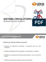 Clase 7. Sistema Circulatorio, Arterial-Venoso-linfático