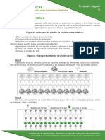 4 Plantas Companheiras