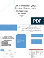 Gangguan Hemostasis Yang Menyebabkan Memar Pada Ekstremitas