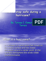How To Stay Safe During A Hurricane?: By: Teresa I. Esmurria Torres