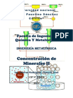 171932879-Guia-de-Concentracion-de-Minerales-II.docx