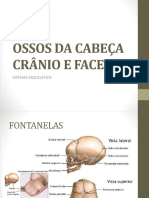 OSSOS DA  CABEÇA