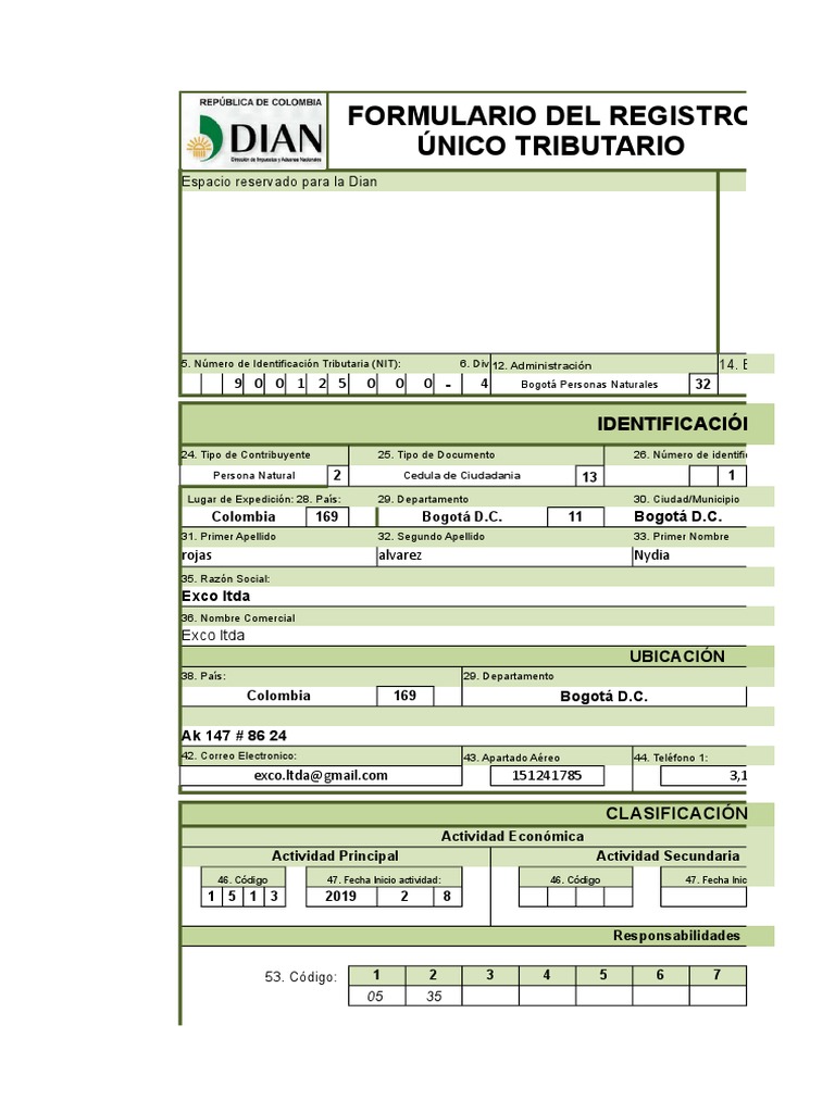 Rut Diligenciado | PDF | Bogotá