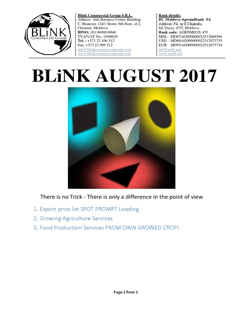 Blink Offer August PDF