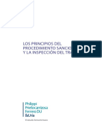 SUNAFIL - Principios Del Procedimiento Sancionador PDF