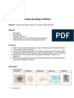 Locating The Stage of Mitosis