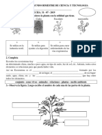 Evaluacion Segundo Bimestre de Ciencia y Tecnologia