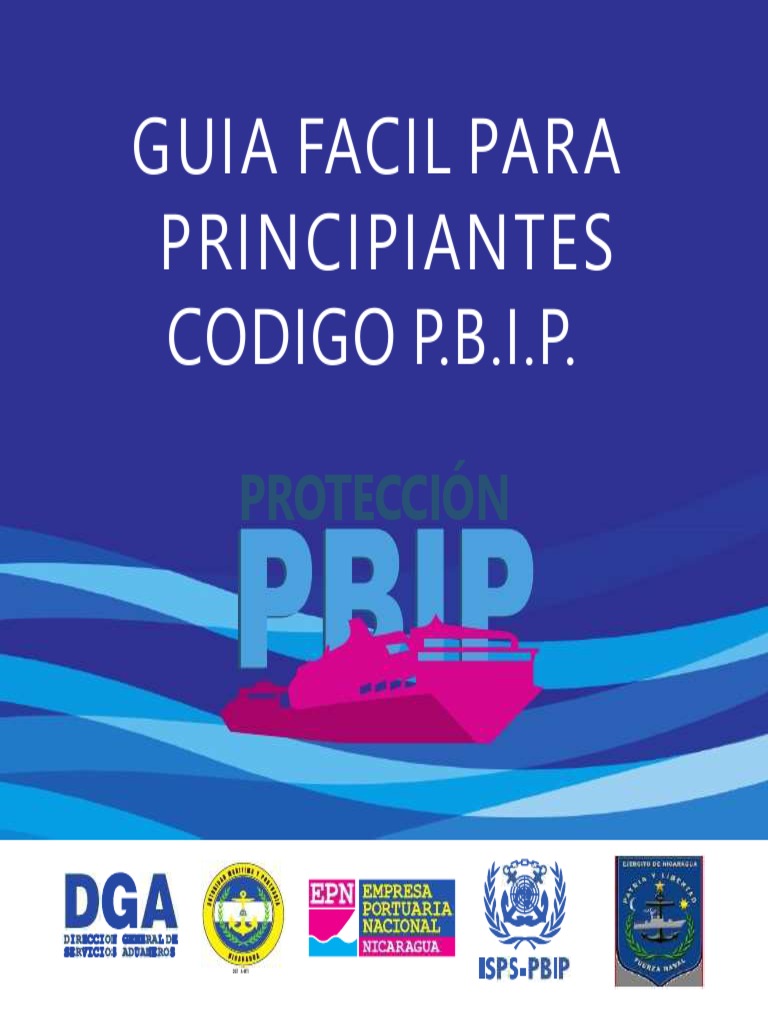 Guía Básica del Código PBIP | PDF