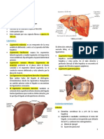 El Higado (Ictericia, Colecistopatia) PDF