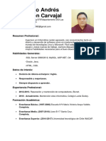 Curriculum Claudio Alarcón PDF