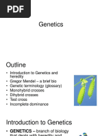 Genetics