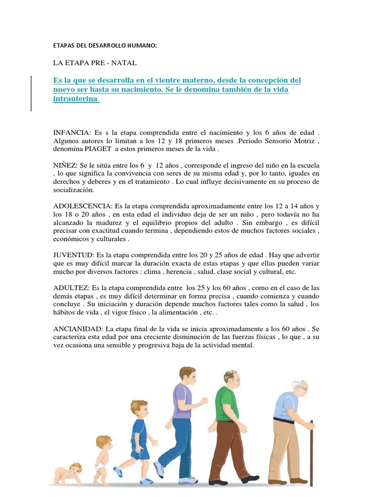 Etapas del Desarrollo Humano y Chavín | PDF | Adultos | Adolescencia