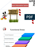 Management Information System: Functional Areas of Management