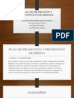 Diapositivas Plan de Promoción y Prevención de Riesgos