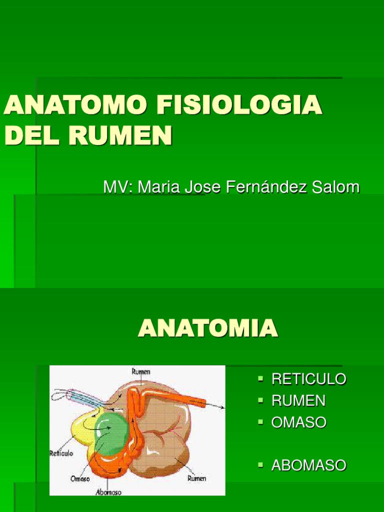 Anatomo Fisiologia Del Rumen... N | PDF | Rumiante | Ecología de mamíferos