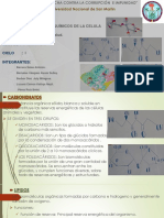 Semana 6 Bio