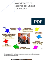 Reconocimiento de Instalaciones Por Unidad Productiva PDF