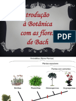 Botânica e Os Florais de Bach