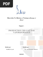 Production Des Gaz Par Vaporeformage PDF