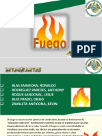 Grupo 4 Fuego