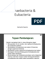 Archaebacteria