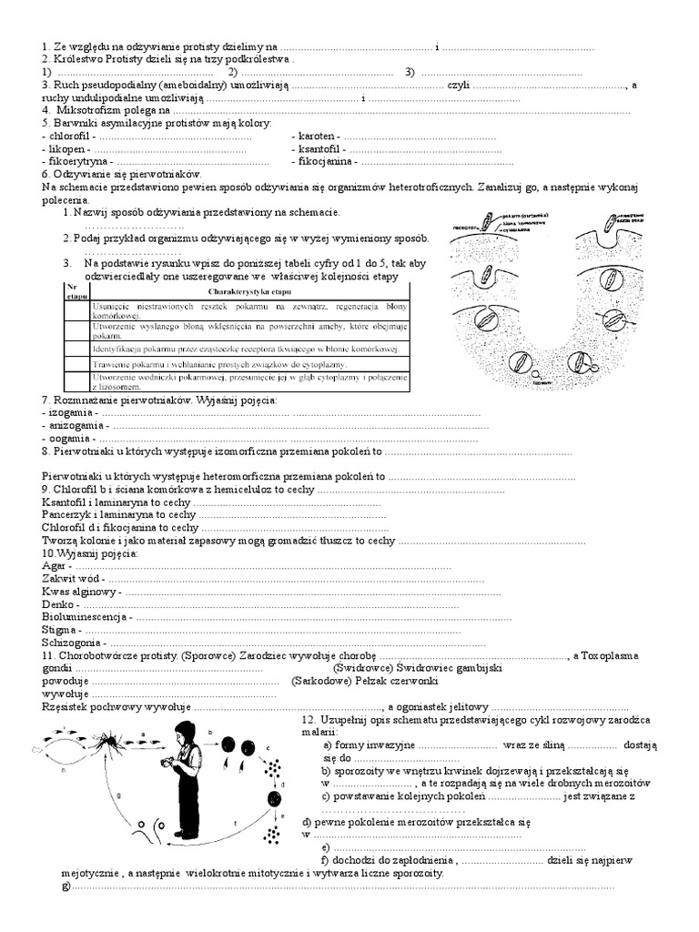 Sprawdzian Z Biologii Różnorodność Bezkręgowców