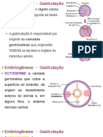 3 Histologia Tecido Epitelial