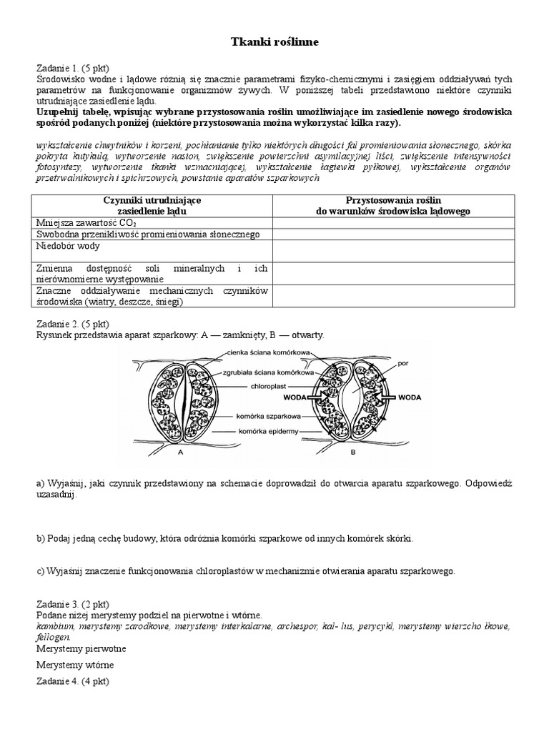 Sprawdzian Biologia Tkanki Roślinne Klasa 5