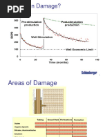 D Formation Damage StimCADE FDA