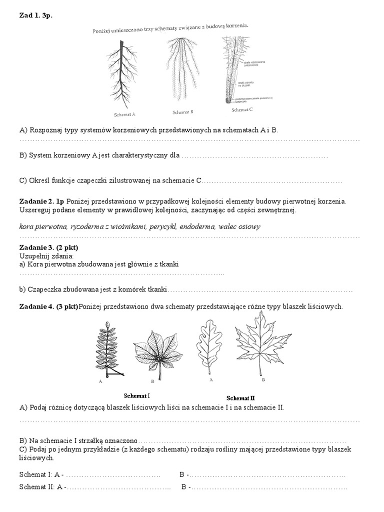 Odpowiedzi Do Sprawdzianu Z Biologii świat Roślin