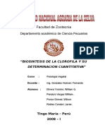 4 - Biosintesis de La Corofila y Su Determinacion Cuantitativa