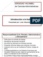 Responsabilidad Del Contador Publico