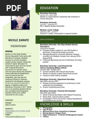 Modern Resume