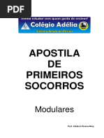 10- Primeiros Socorros