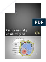 La Celula Vegetal