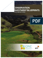panduan menyusun CPIC_Blueprint_Development_Guide_2018.pdf