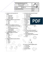 Evaluación Circuitos Tipo Saber